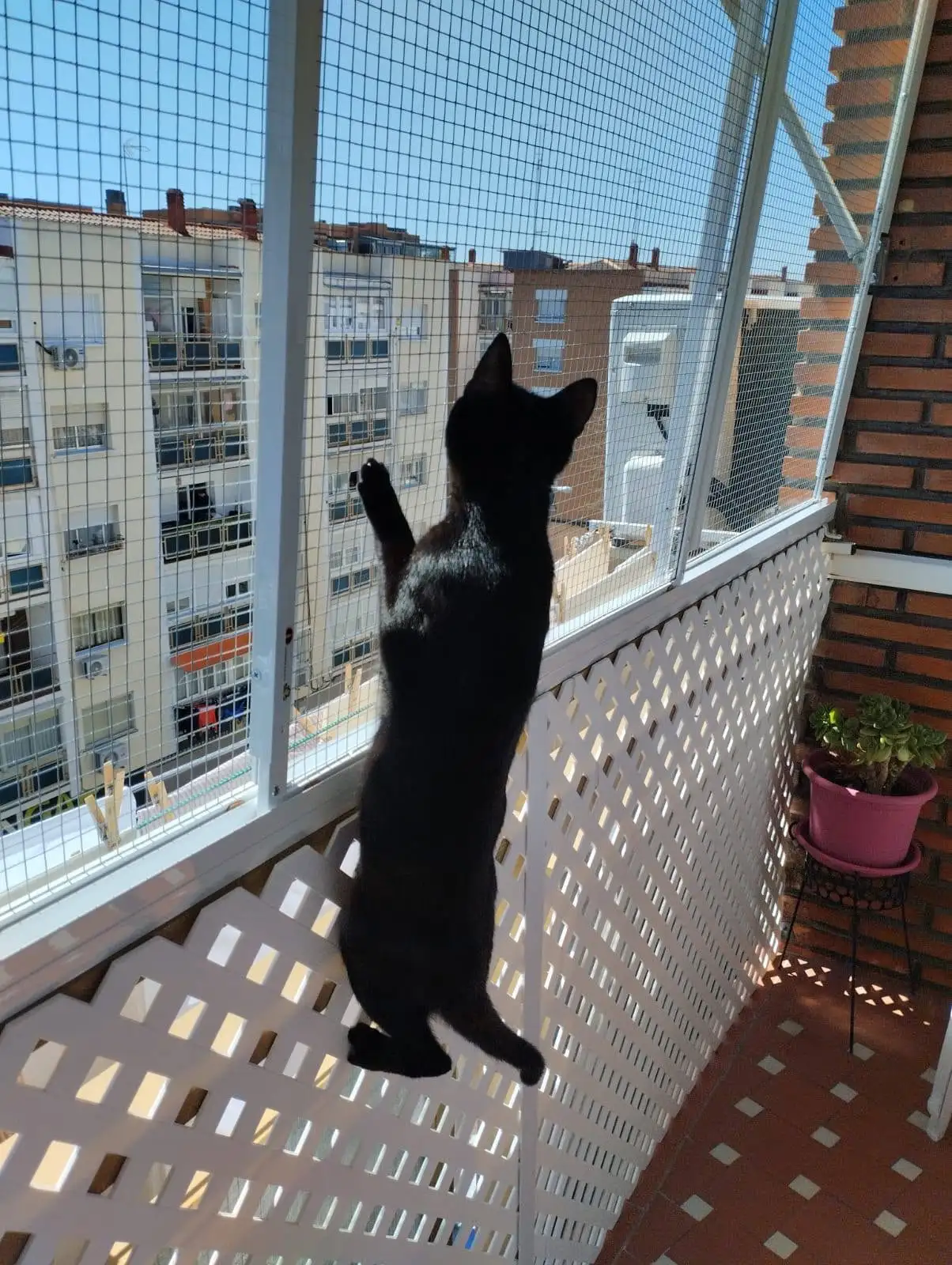 Cerramiento de balcón o terraza para gatos
